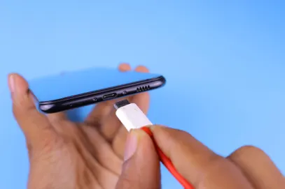 카지노 로지 빙고 모바일 앱